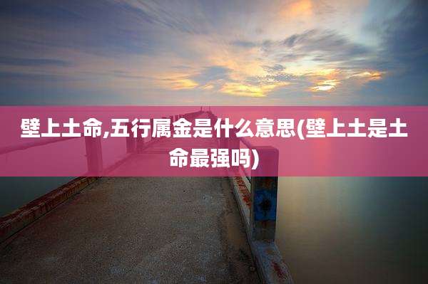 壁上土命,五行属金是什么意思(壁上土是土命最强吗)