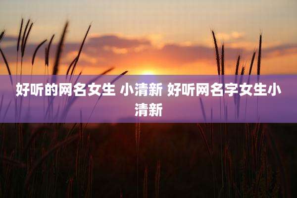 好听的网名女生 小清新 好听网名字女生小清新