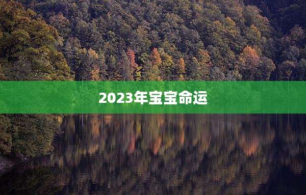 2023年宝宝命运