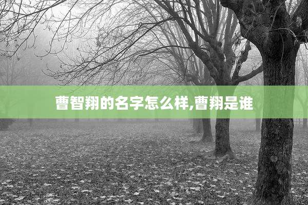 曹智翔的名字怎么样,曹翔是谁