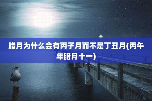 腊月为什么会有丙子月而不是丁丑月(丙午年腊月十一)