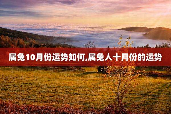 属兔10月份运势如何,属兔人十月份的运势