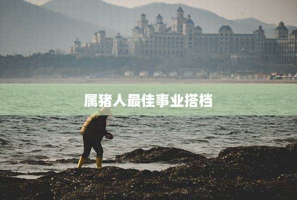 属猪人最佳事业搭档