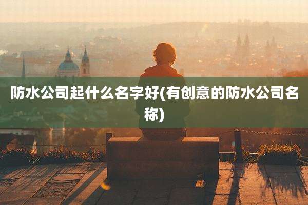 防水公司起什么名字好(有创意的防水公司名称)