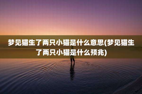 梦见猫生了两只小猫是什么意思(梦见猫生了两只小猫是什么预兆)