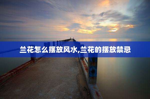 兰花怎么摆放风水,兰花的摆放禁忌