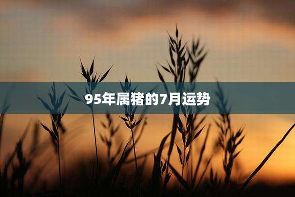 95年属猪的7月运势