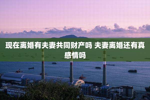 现在离婚有夫妻共同财产吗 夫妻离婚还有真感情吗