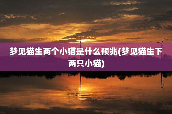 梦见猫生两个小猫是什么预兆(梦见猫生下两只小猫)