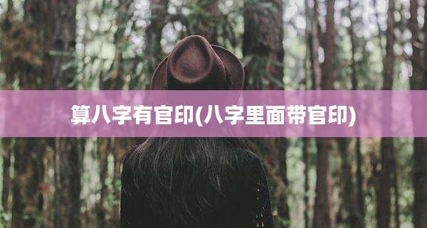 算八字有官印(八字里面带官印)