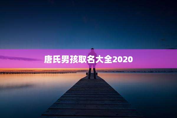 唐氏男孩取名大全2020