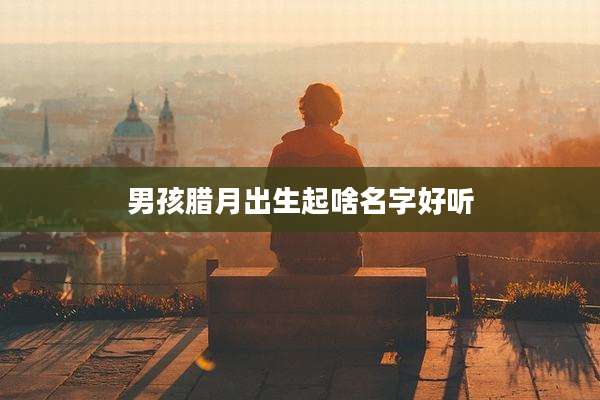 男孩腊月出生起啥名字好听
