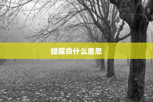 蝴蝶命什么意思