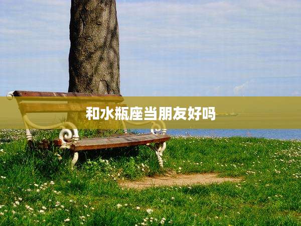 和水瓶座当朋友好吗