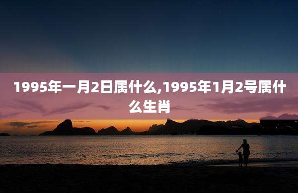1995年一月2日属什么,1995年1月2号属什么生肖