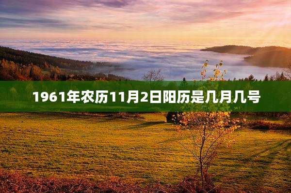 1961年农历11月2日阳历是几月几号