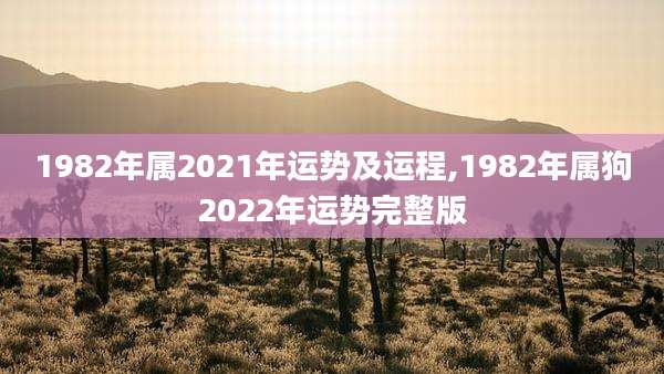 1982年属2021年运势及运程,1982年属狗2022年运势完整版