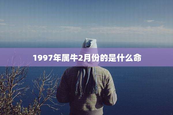 1997年属牛2月份的是什么命