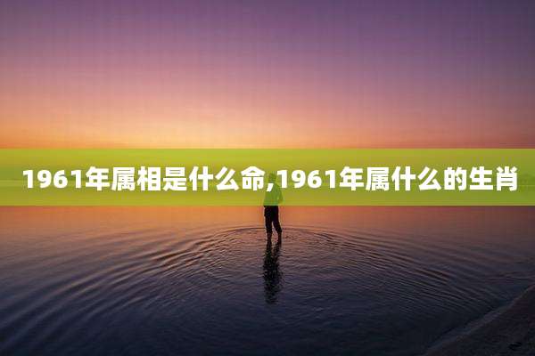 1961年属相是什么命,1961年属什么的生肖