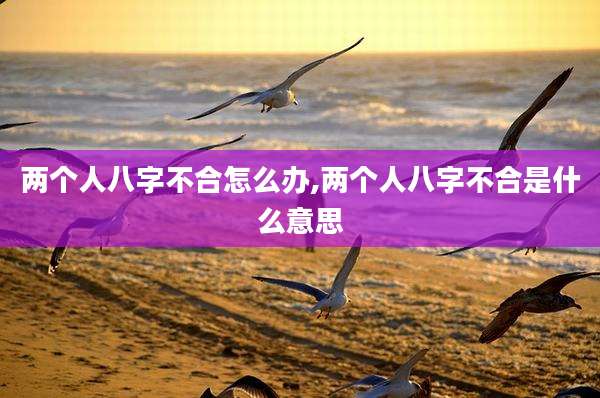 两个人八字不合怎么办,两个人八字不合是什么意思