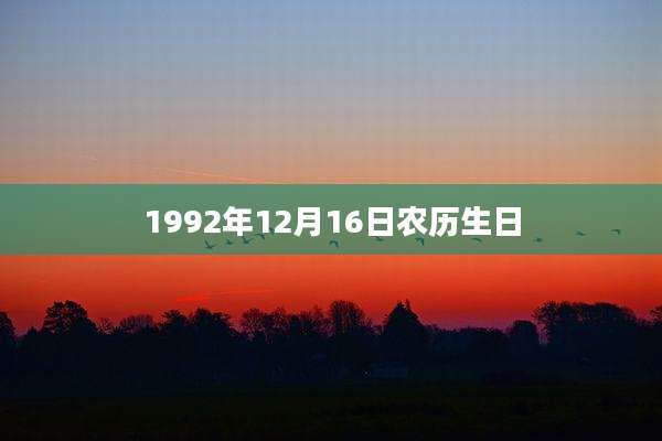 1992年12月16日农历生日