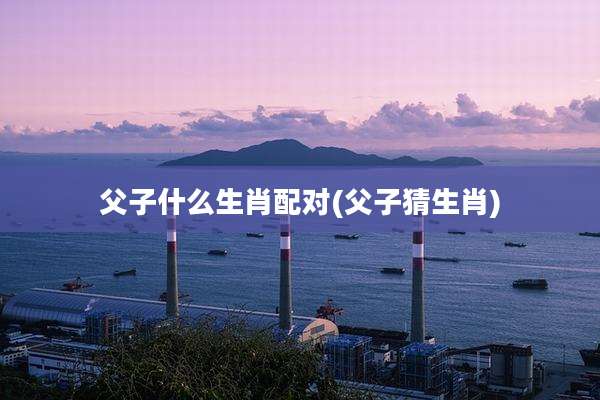 父子什么生肖配对(父子猜生肖)