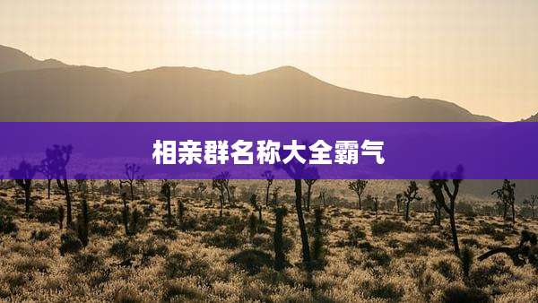 相亲群名称大全霸气