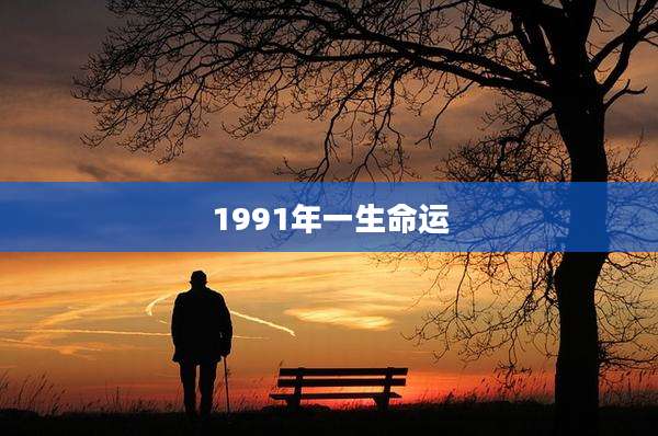1991年一生命运