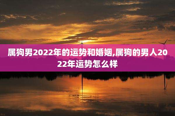 属狗男2022年的运势和婚姻,属狗的男人2022年运势怎么样