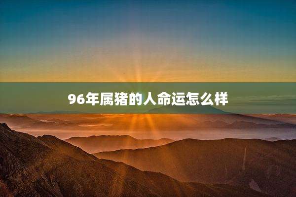 96年属猪的人命运怎么样