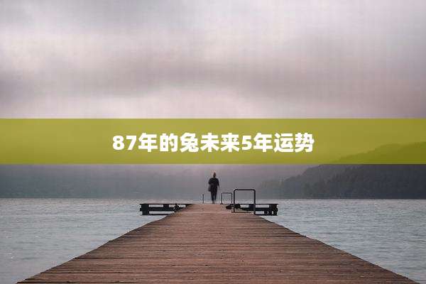 87年的兔未来5年运势
