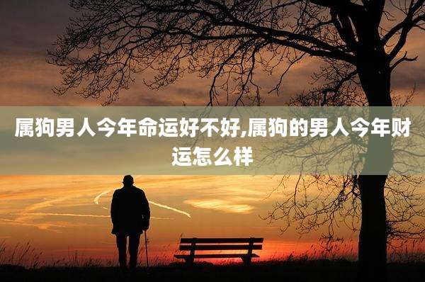 属狗男人今年命运好不好,属狗的男人今年财运怎么样