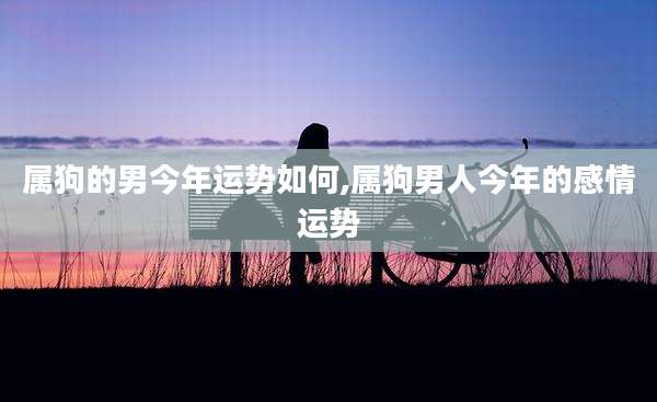 属狗的男今年运势如何,属狗男人今年的感情运势