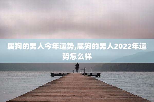 属狗的男人今年运势,属狗的男人2022年运势怎么样