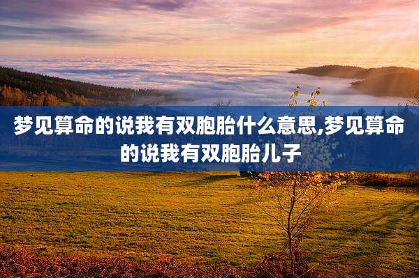 梦见算命的说我有双胞胎什么意思,梦见算命的说我有双胞胎儿子