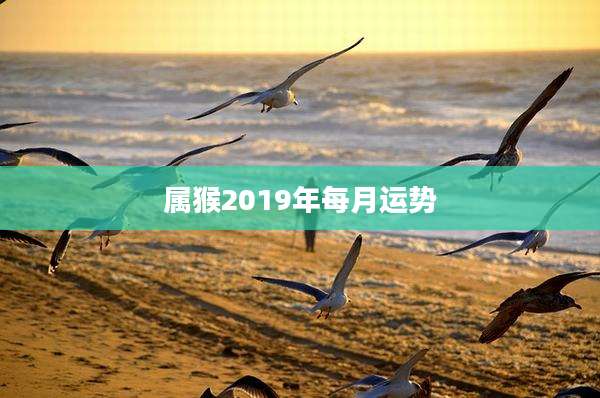 属猴2019年每月运势