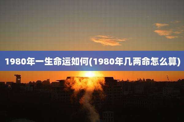 1980年一生命运如何(1980年几两命怎么算)