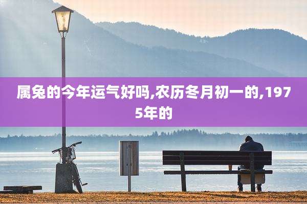 属兔的今年运气好吗,农历冬月初一的,1975年的