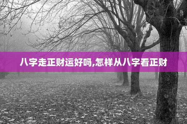 八字走正财运好吗,怎样从八字看正财