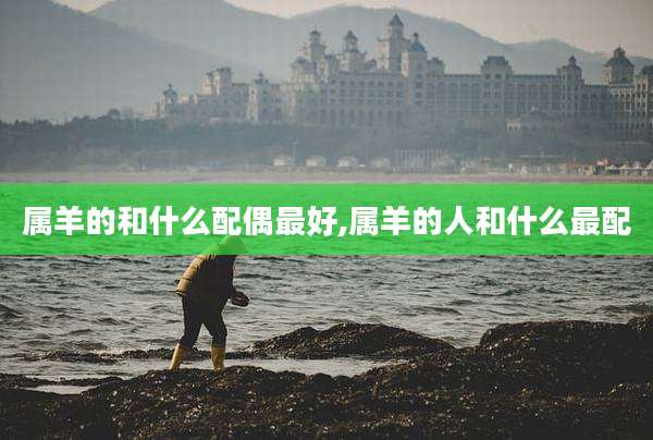 属羊的和什么配偶最好,属羊的人和什么最配