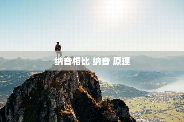 纳音相比 纳音 原理