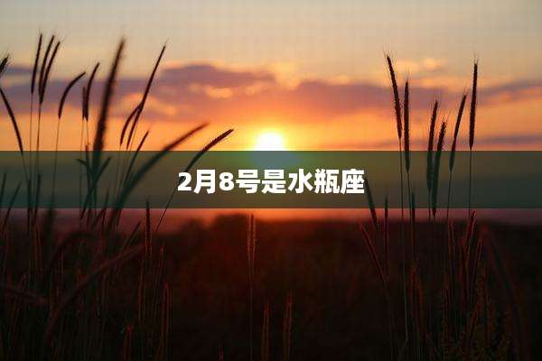 2月8号是水瓶座