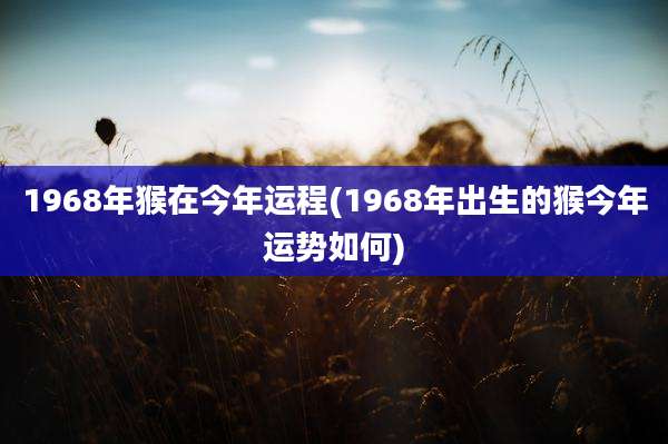 1968年猴在今年运程(1968年出生的猴今年运势如何)