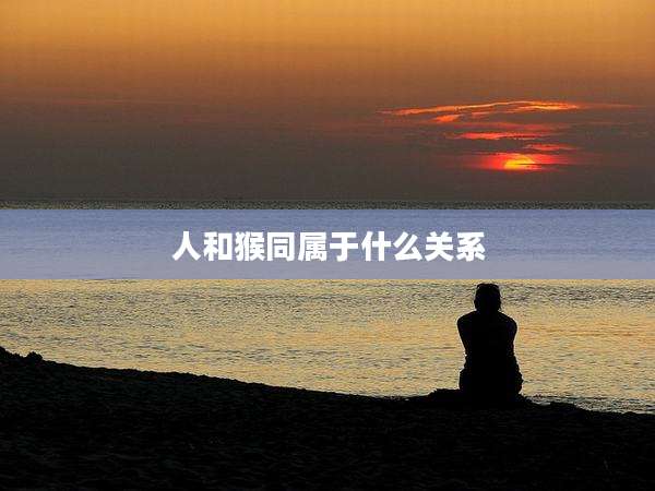 人和猴同属于什么关系