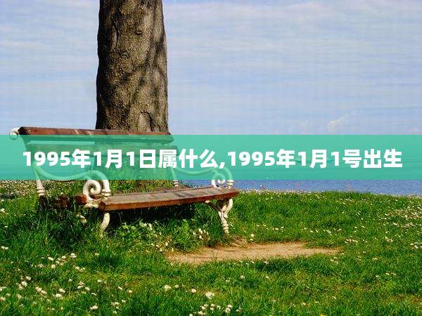 1995年1月1日属什么,1995年1月1号出生