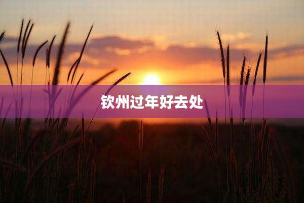 钦州过年好去处