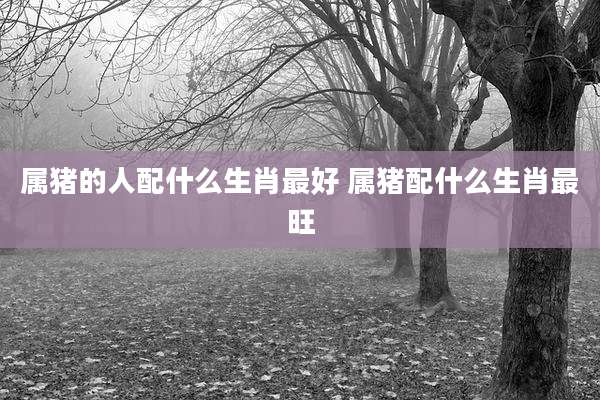属猪的人配什么生肖最好 属猪配什么生肖最旺