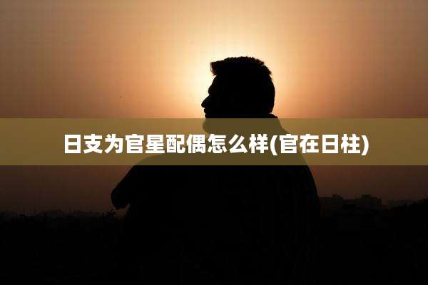 日支为官星配偶怎么样(官在日柱)