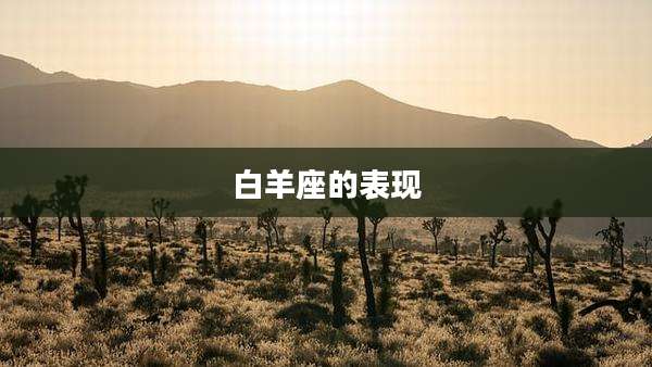 白羊座的表现