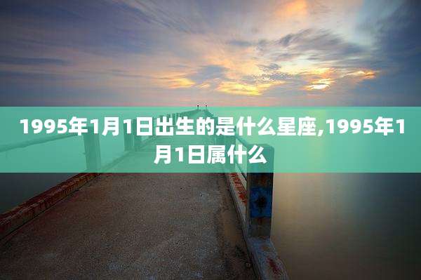 1995年1月1日出生的是什么星座,1995年1月1日属什么